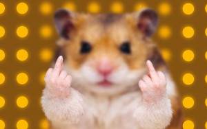 Eine Maus, die mit ihren Pfoten den Mittelfinger zeigt.