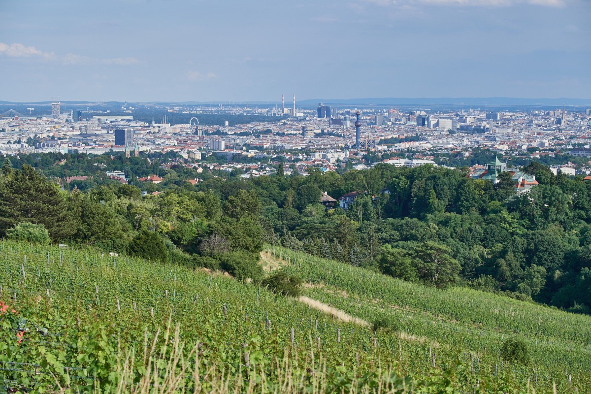 Das Wienerliedfestival - wean hean