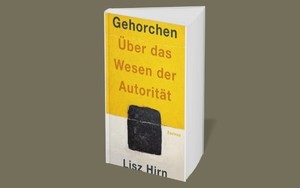 Buchcover von Lisz Hirn