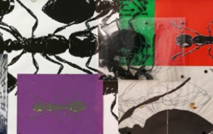 Detailansicht eines Werks von Peter Kogler, Ohne Titel aus dem Jahr 2017  