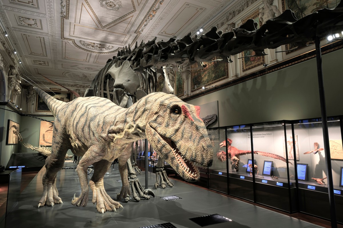 Naturhistorisches Museum Wien