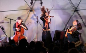 Das Wild String Trio - drei Musikerinnen und Musiker in Leidenschaft
                                 verbunden